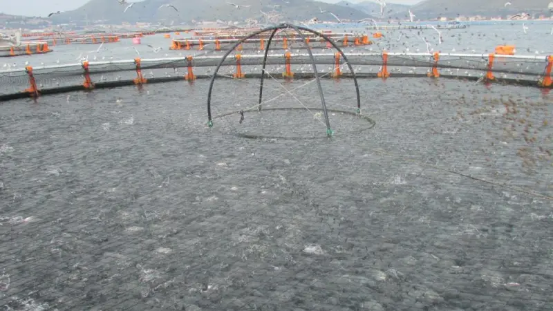 P2G Fish farm visit confirmed for the 5th Offshore Mariculture Conference 2014