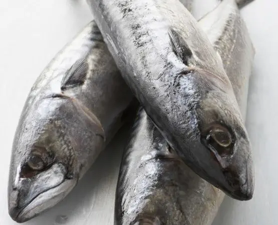 Big quota increases ahead for NEA mackerel?