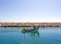 The quantity and quality of fish caught by Spanish fishermen has declined, says Oceana