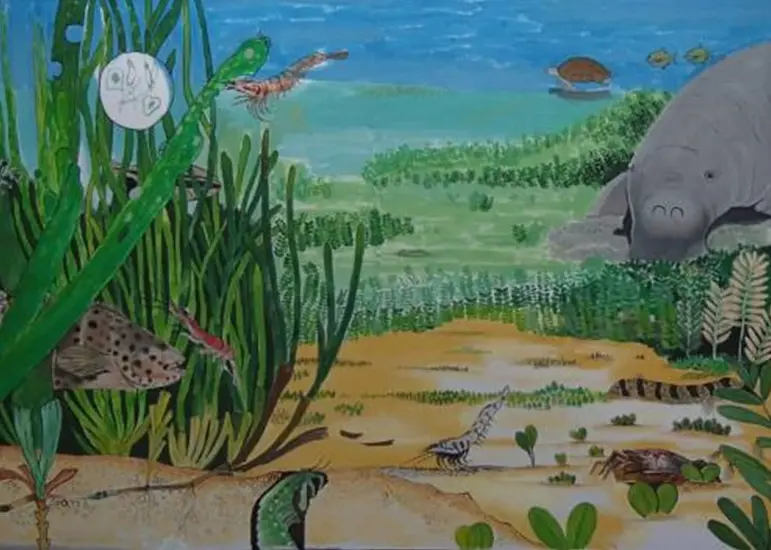 Stylistic representation of the main animals and plants in an Indonesian seagrass meadow