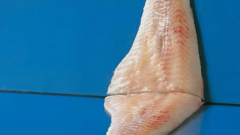 Baader and Norway Seafoods are looking to create a better and more efficient processing line for cod and other whitefish species