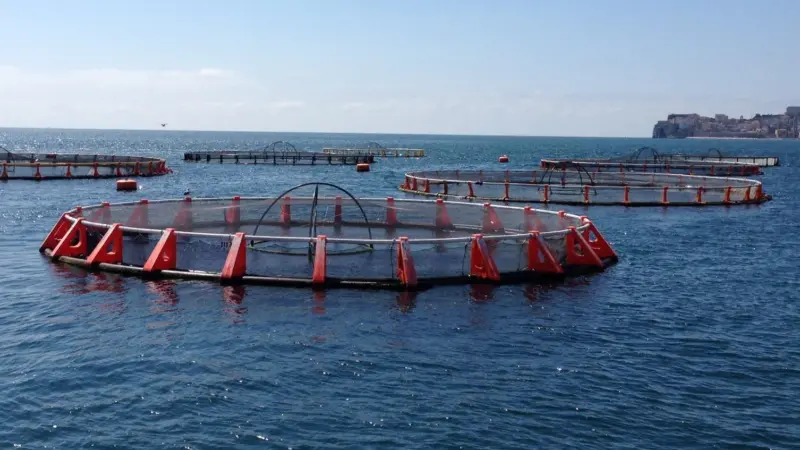 Fish farm visit