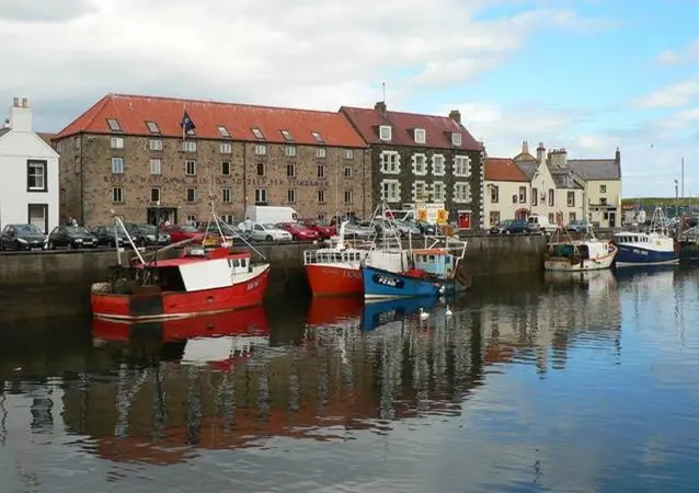 Provisional statistics show that the value of Scottish fish fell by 8% in 2013. Credit: cathietinn/ CC BY-SA 2.0