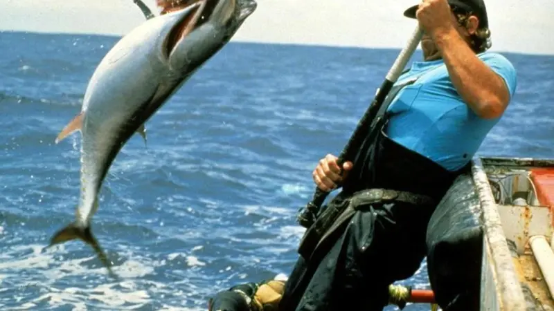 Eastern Tuna longliners have been catching SBT in the Great Australian Bight for the first time in nearly 20 years. Credit: AFMA