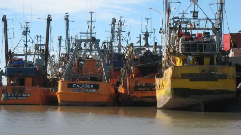 Fish consumption is on the up in Argentina alongside a rise in exports, which is good news for the country’s domestic fleet