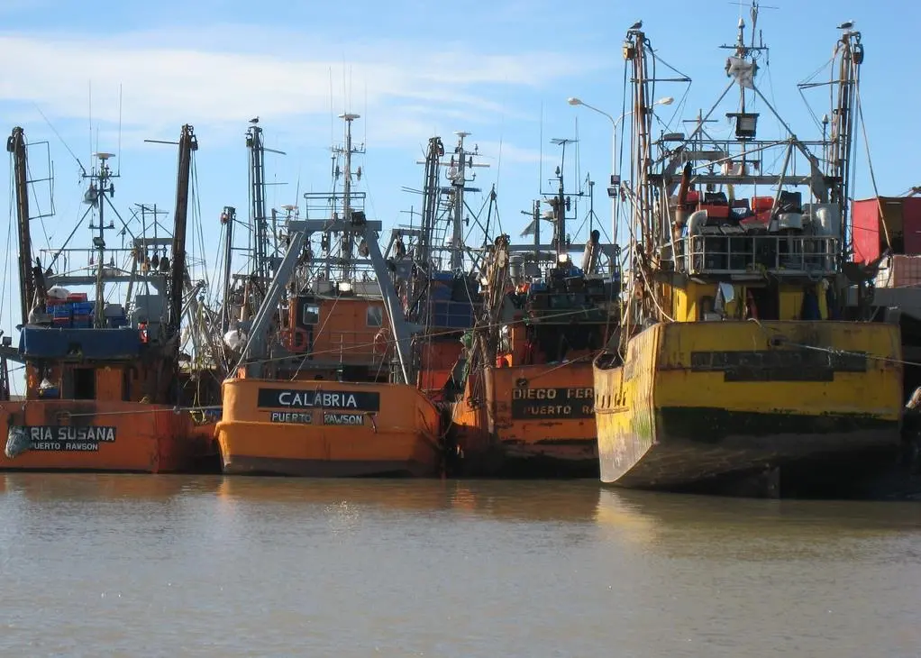 Fish consumption is on the up in Argentina alongside a rise in exports, which is good news for the country’s domestic fleet