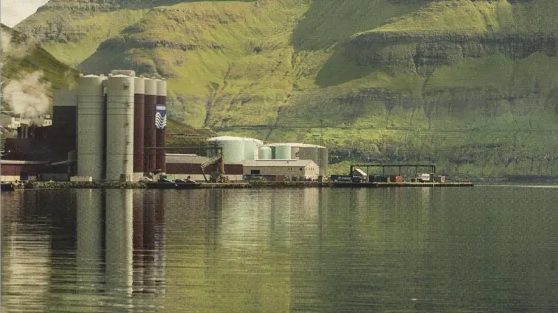 The most advanced pelagic plant in the North Atlantic will be ready for producing high quality pelagic fish this summer