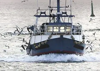 Pingtan has ordered 25 new fishing vessels. Credit: Pingtan Marine Enterprise Ltd