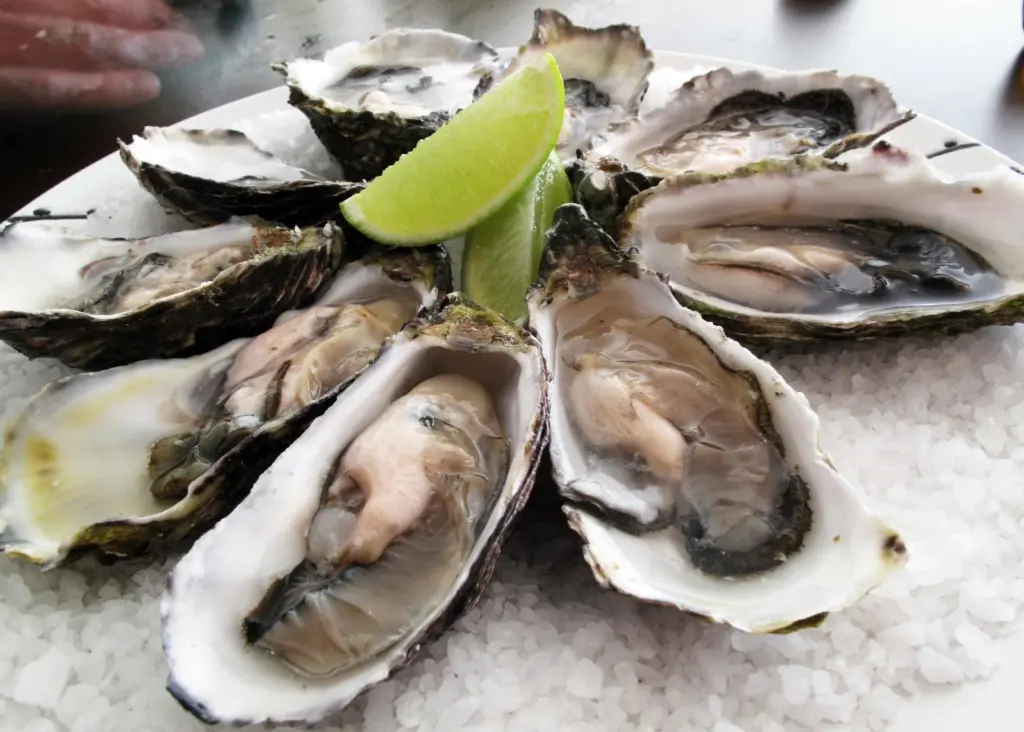 Mussel and Pacific oysters remain the main species produced in terms of both value and tonnage. Credit: Guido/CC BY-SA 2.0