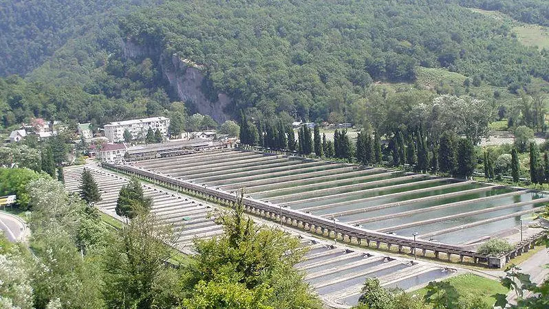 A Russian trout farm