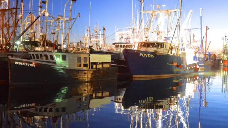 Commercial fishing vessels at Homers Wharf in the Port of New Bedford Waterfront. Picture provided by Mike Estabrook
