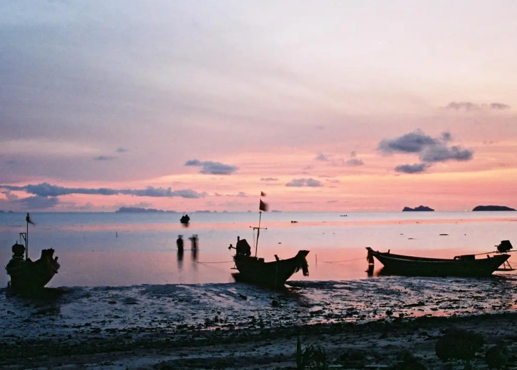 The Thai Government has voted against the strengthening of an existing international treaty on forced labour. Credit: www.rubins.org/CC BY-SA 3.0