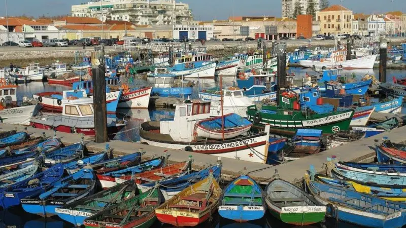 A fishing harbour in Portugal. Credit: Osvaldo Gago/CC BY-SA 3.0