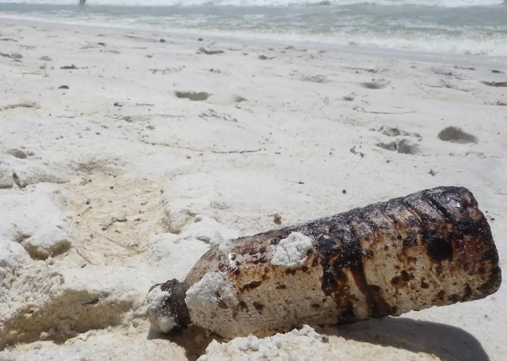 OSPAR's Action Plan will tackle marine litter in the North-East Atlantic. Photo: Chris Pincetich/Sea Turtle Restoration Project/Marine Photobank
