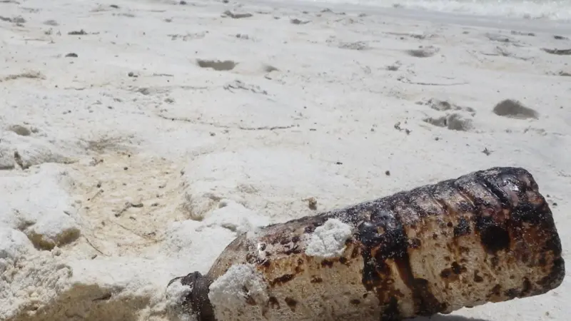 OSPAR's Action Plan will tackle marine litter in the North-East Atlantic. Photo: Chris Pincetich/Sea Turtle Restoration Project/Marine Photobank