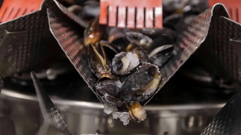 Cabomar uses twinned Ishida multihead weighers for packing its seafood mixes