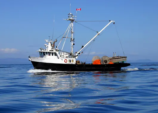 Canada has one of the world’s most advanced and respected fisheries inspection and monitoring systems