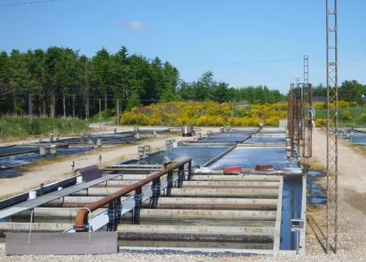 ASC certified trout from Danforel will soon be available