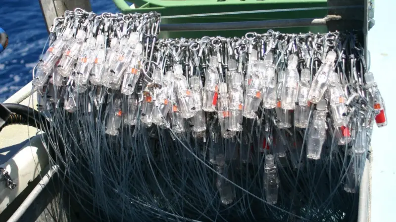 Hookpods in racks on board a longlining vessel. Credit: Hookpod Ltd