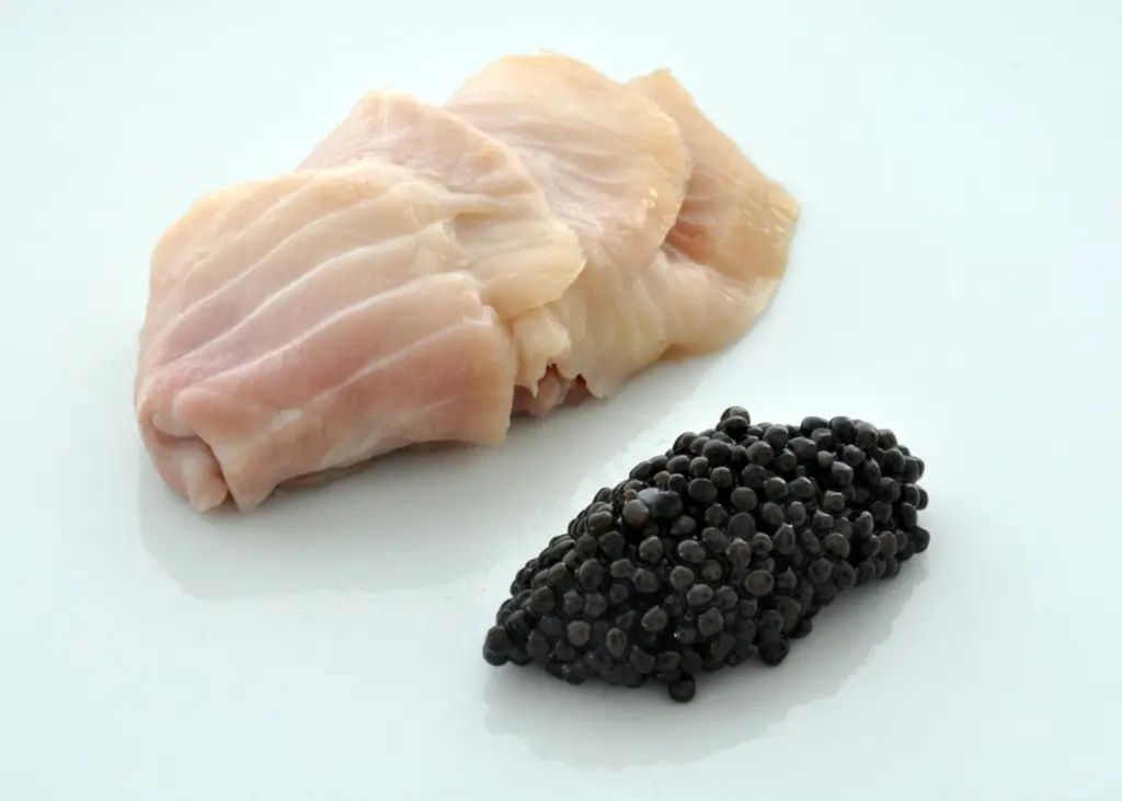 Sturgeon meat and caviar