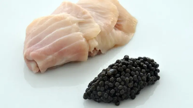 Sturgeon meat and caviar