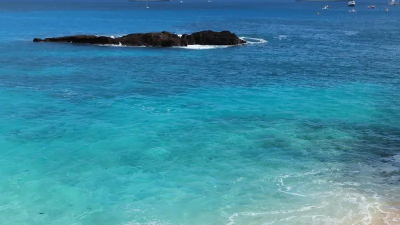 Cefas will conduct an independent review of Ascension Island’s fisheries