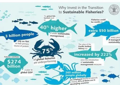 Fisheries could be worth an extra $50 billion if managed sustainably