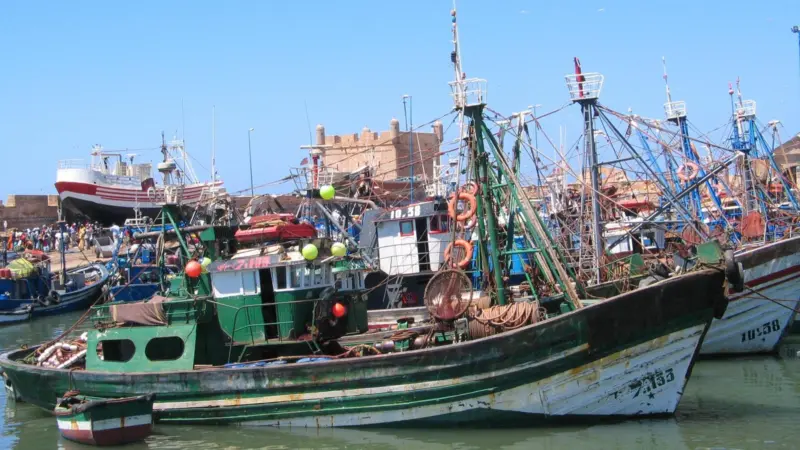 Fishing boats in Essaouira, Morocco. Credit: Daniel*D/CC BY-SA 3.0
