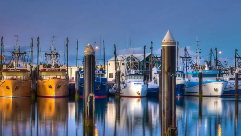 Fishing boats at Port Lincoln Marina, South Australia. Credit: Jacqui Barker/ CC BY 2.0