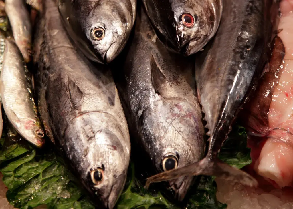 The fisheries products affected by the ban are live, fresh, chilled, frozen, salted, in brine and smoked fish, molluscs and crustaceans. Credit: flydime/CC BY-SA 2.0/via Wikimedia Commons