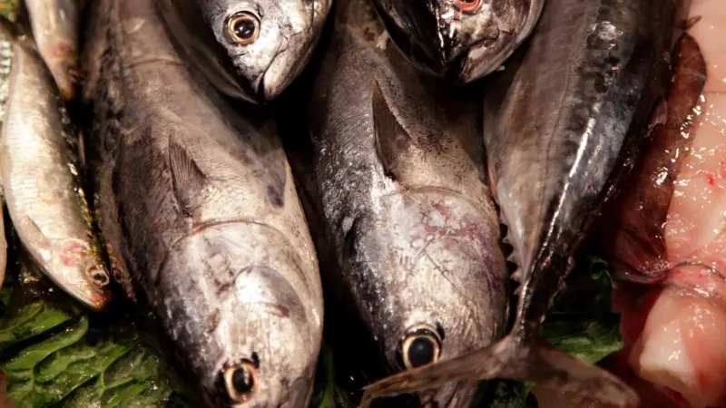 The fisheries products affected by the ban are live, fresh, chilled, frozen, salted, in brine and smoked fish, molluscs and crustaceans. Credit: flydime/CC BY-SA 2.0/via Wikimedia Commons