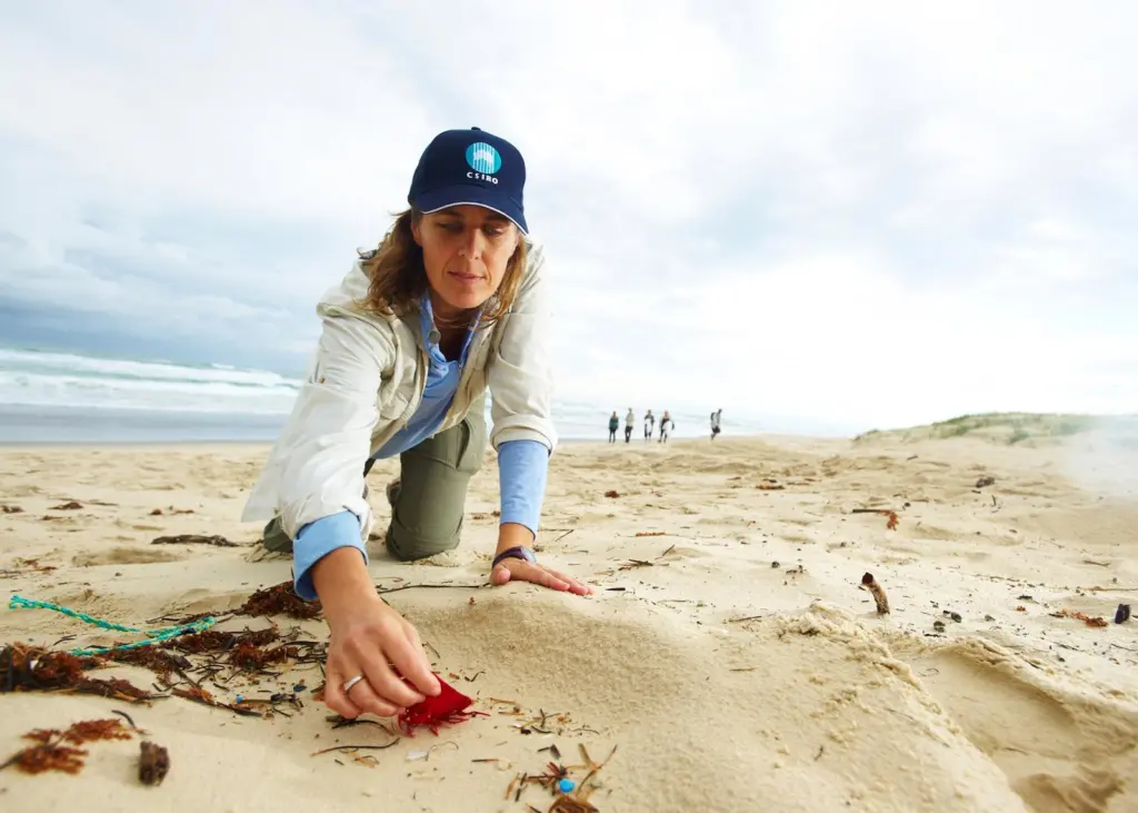 CSIRO researcher Denise Hardesty inspects debris on North Stradbroke Island