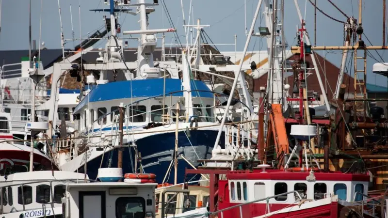 The ECA says that the EEF has failed to provide value for money or support the sustainable growth of aquaculture Photo: William Murphy/CC-BY-SA-2.0