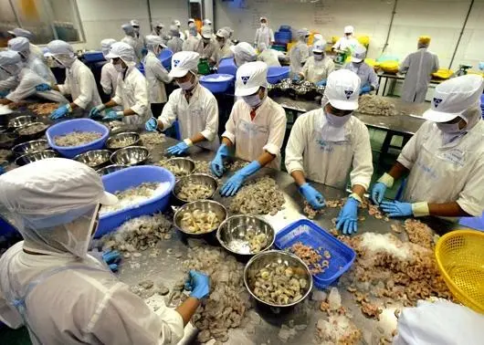 The FAO forecasts that by 2030, two-thirds of the seafood consumed by humans will come from aquaculture