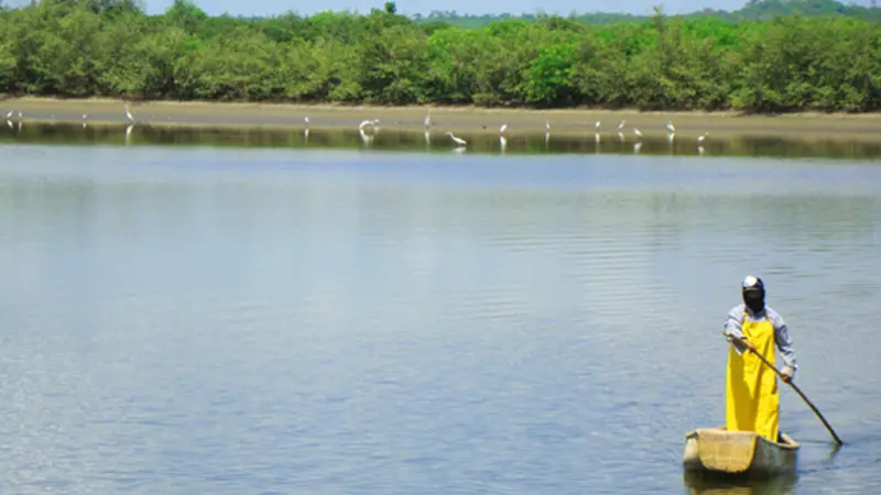 OMARSA has become the first shrimp producer to gain ASC certification