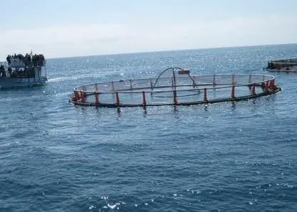 Offshore fish farm visit at OSM 2014