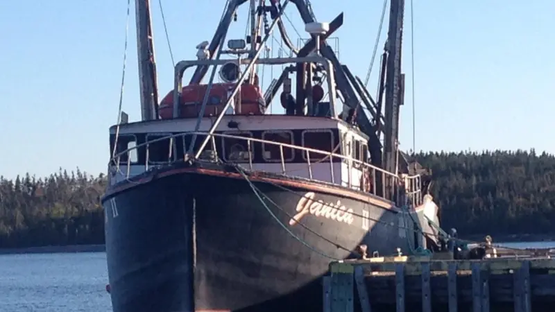 Janica II