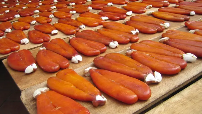 Drying mullet roe in Taiwan. Credit: comicpie/CC BY 2.0, via Wikimedia Commons