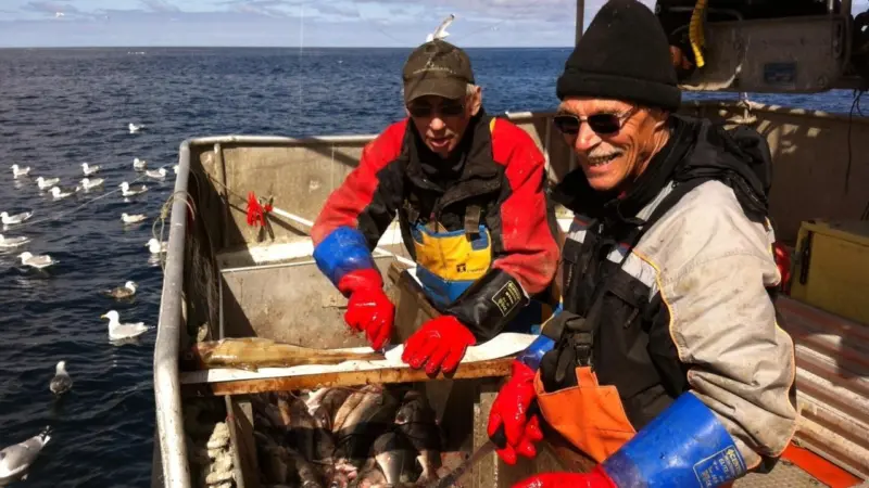 Self-sampling relies on a high degree of trust and cooperation between fishermen and scientists