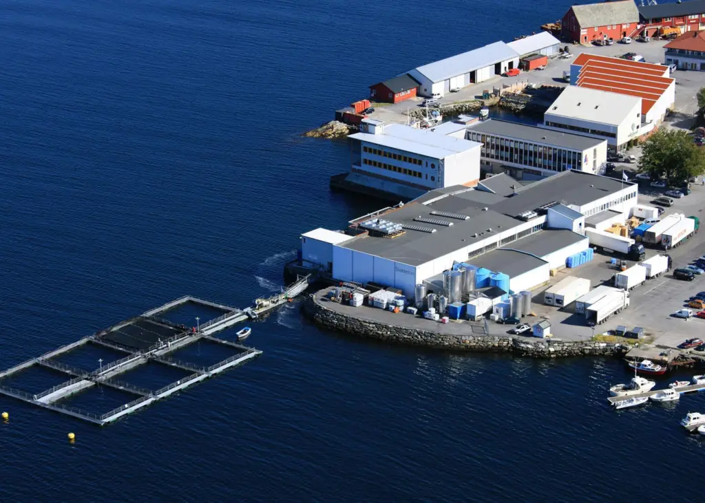 Slakteriet has ordered a complete grading and packing system from Valka