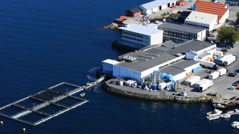 Slakteriet has ordered a complete grading and packing system from Valka