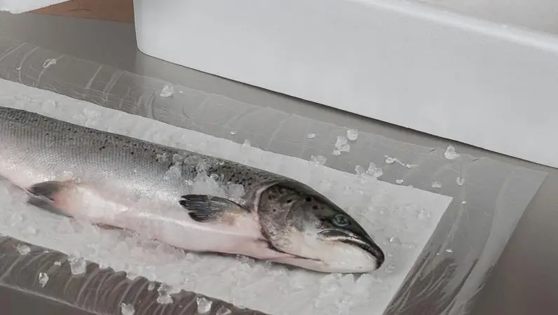 The new Dri-Fresh Sea-Fresh SP liner