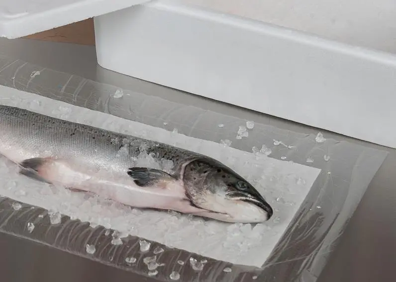 The new Dri-Fresh Sea-Fresh SP liner