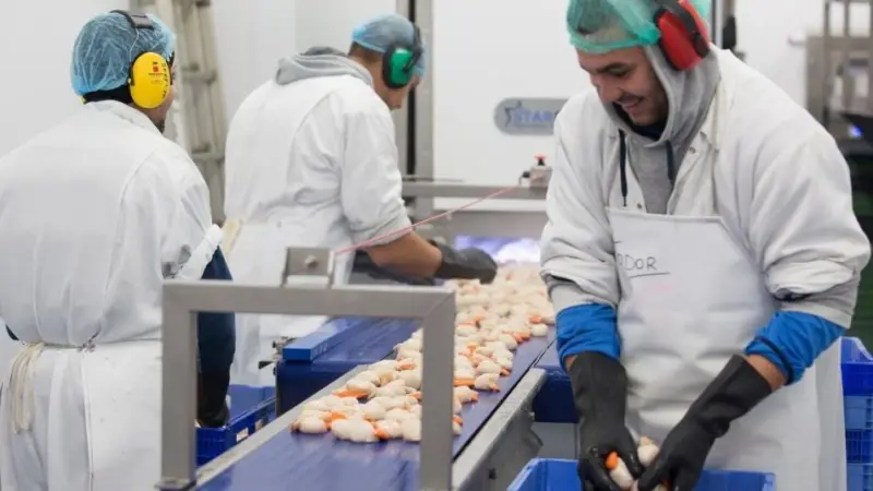 The company mainly processes king scallops, whelks, cuttlefish and sprat