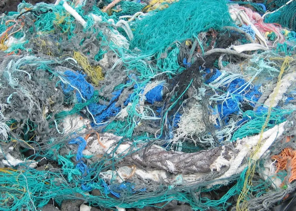 It's estimated that 640,000 tonnes of fishing gear are lost or abandoned in the oceans each year Photo: NOAA