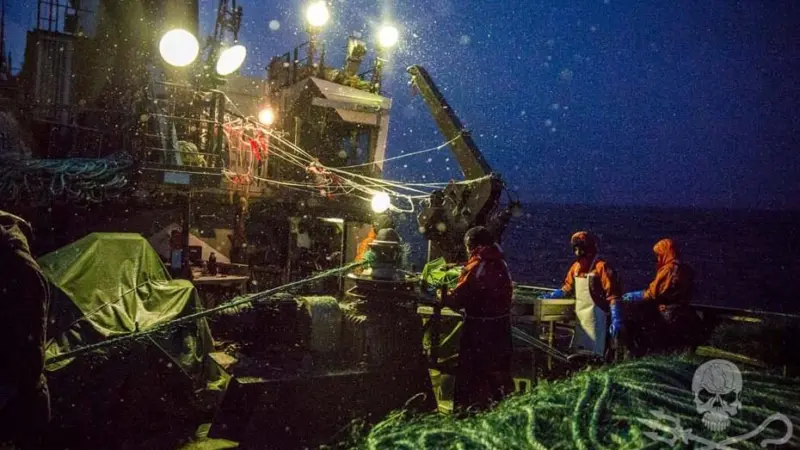 Crew members hauling in the second gillnet. Credit: Jeff Wirth