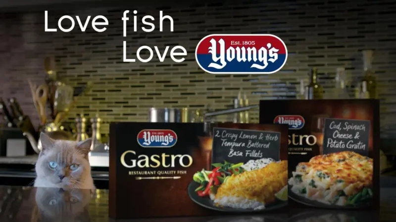 Malcom the Cat is the star of Young’s new TV advertising campaign