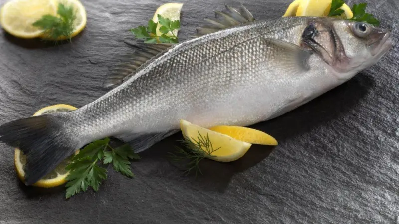Sea bass stocks are in serious decline