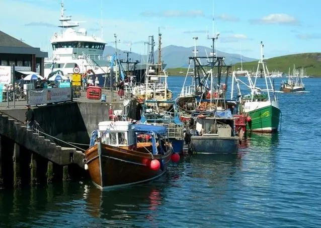 Fishing into the Future has been officially launched as a charity. Credit: Mary and Angus Hogg/CC BY-SA 2.0 via Wikimedia Commons