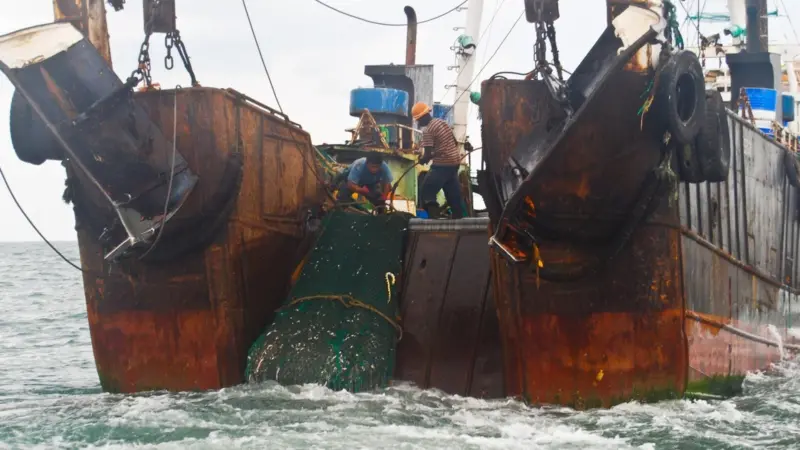 The guide encourages action to prevent IUU fishery products entering UK supply chains. Credit: EJF
